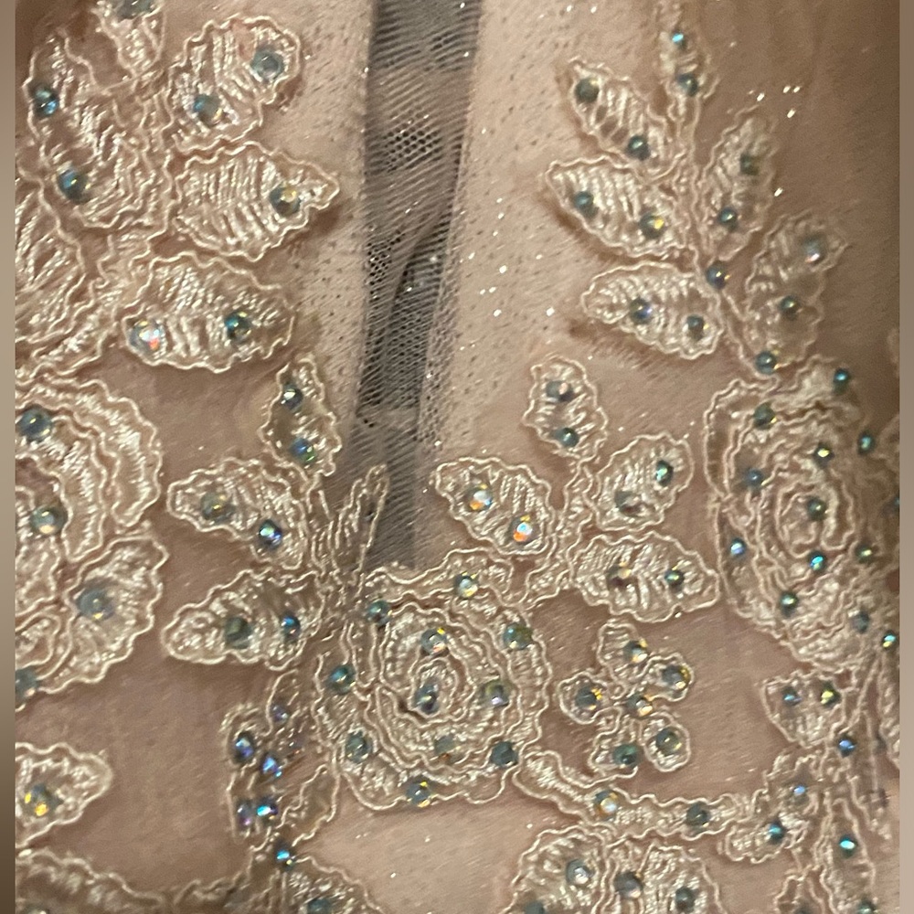 Peach Couture long prom dress.  Pale pink size 0 - Picture 5 of 5